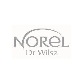 logo-norel